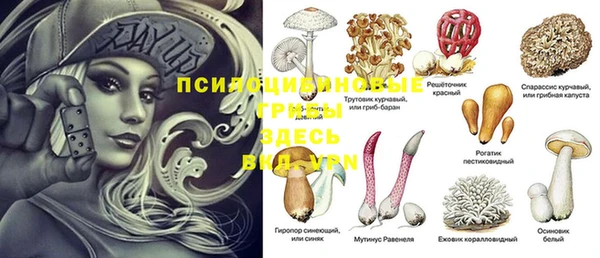 Альфа ПВП Алексин