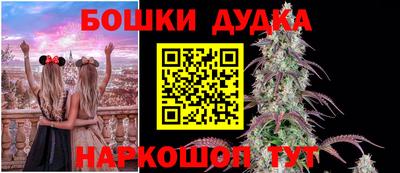 PSILOCYBIN Канаш