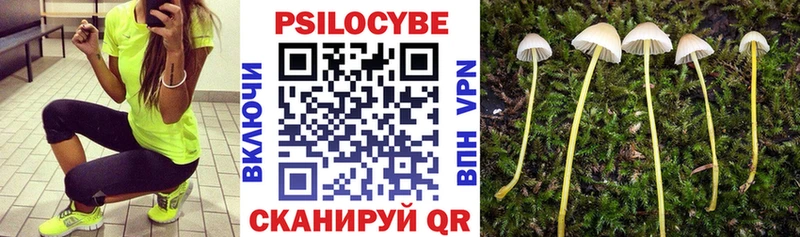 Галлюциногенные грибы Psilocybe  Ухта 