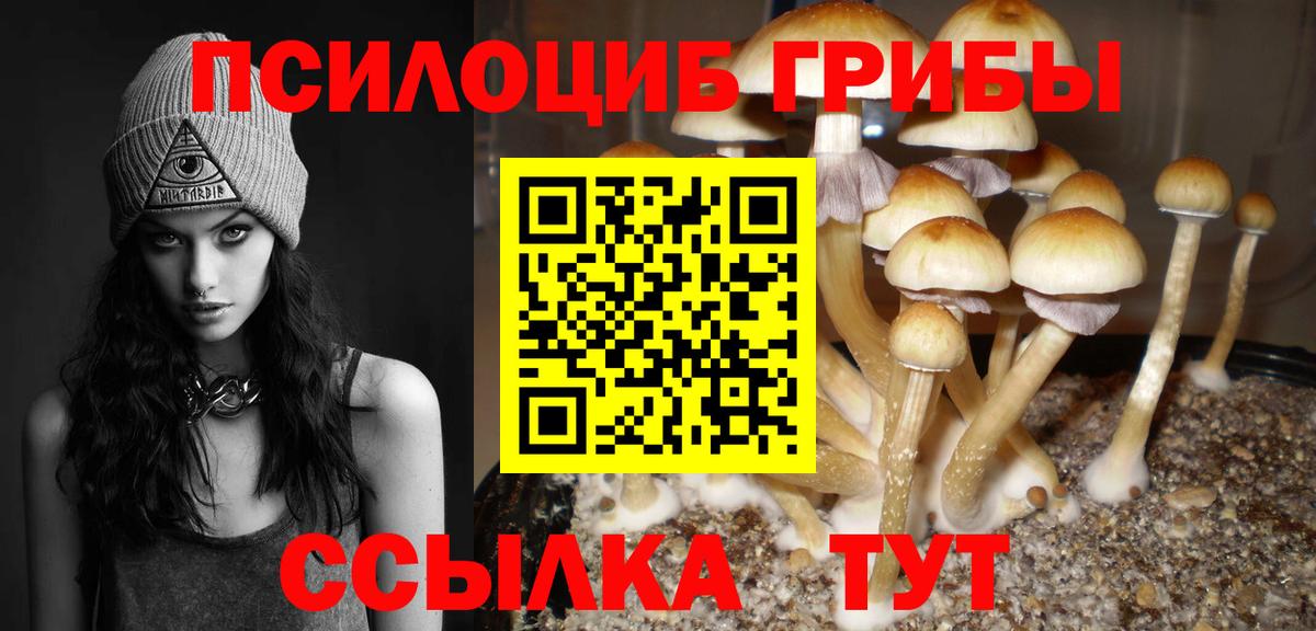 Галлюциногенные грибы Psilocybe Ухта