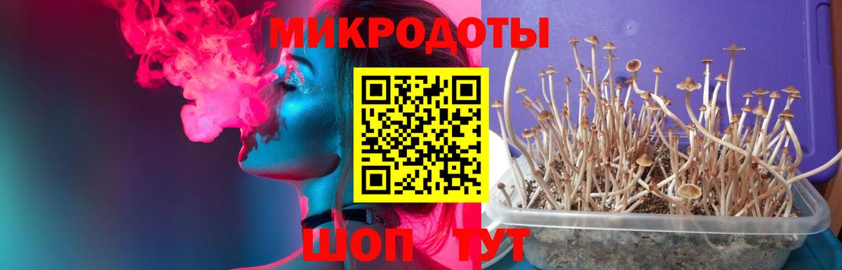 Галлюциногенные грибы Magic Shrooms  Вход с VPN  Ухта 